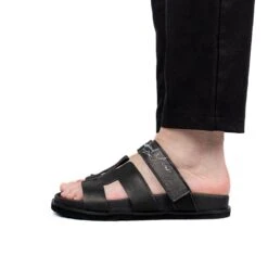 Raimond Miami Carle Nero 17 Raimond Miami Carle Nero -Gagliotta DSF2421