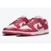 Nike Dunk Low Archeo Pink W DD1503 111 -Gagliotta DUNK ROSA ARCHEO 4