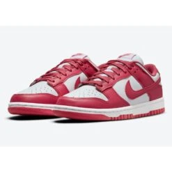 Nike Dunk Low Archeo Pink W DD1503 111