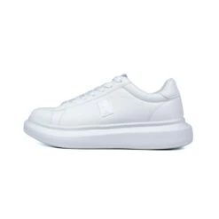 Gagliotta 34 Gagliotta -Gagliotta filarefrigborsaarm 18